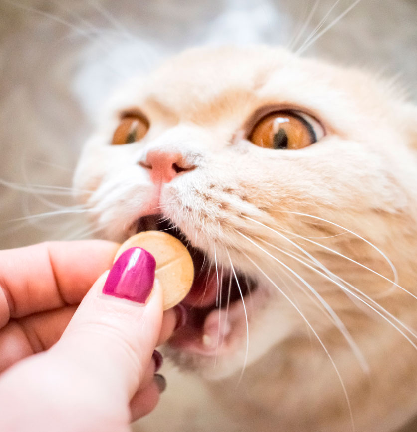 pet supplements manufacturers