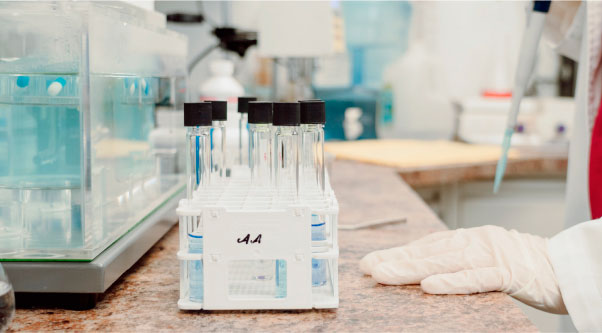 Supplement manufacturer